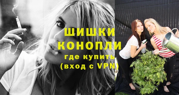 стафф Майский