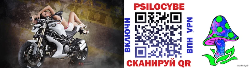 Галлюциногенные грибы MAGIC MUSHROOMS  где купить наркоту  Терек 
